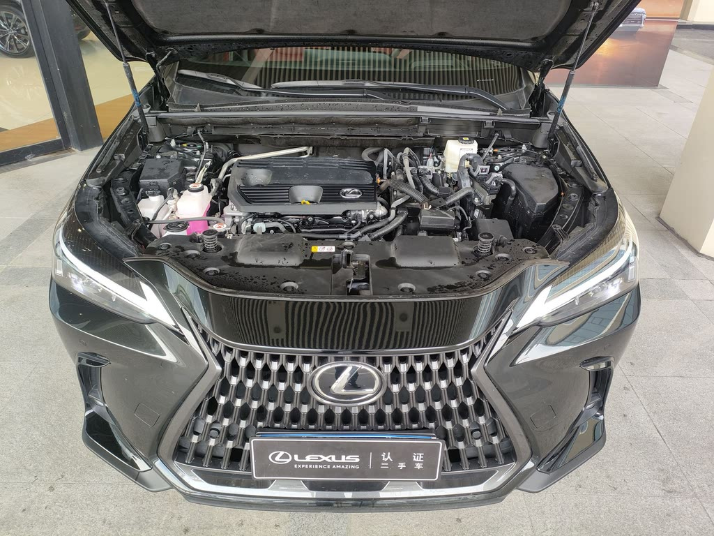 LEXUS NX 2022