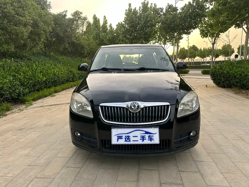 SKODA FASCIA 2009