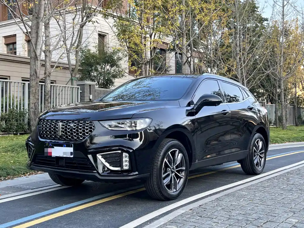 Аукционный лист WEY VV5 2020