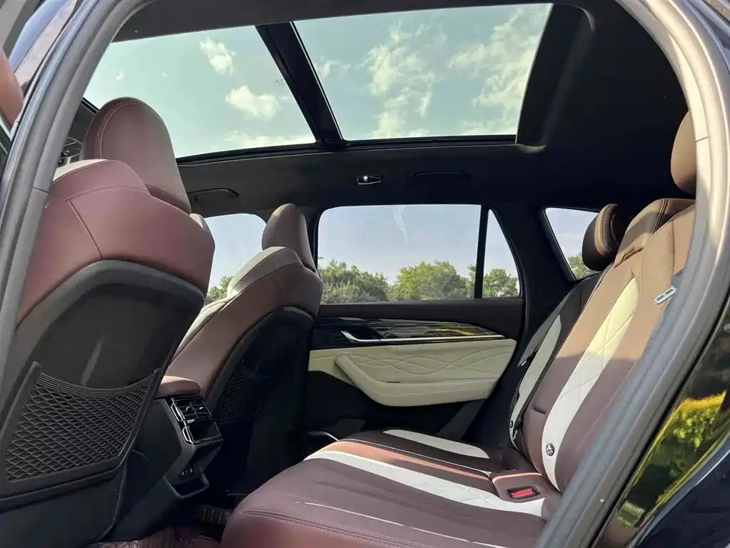 GEELY AUTO MONJARO 2021