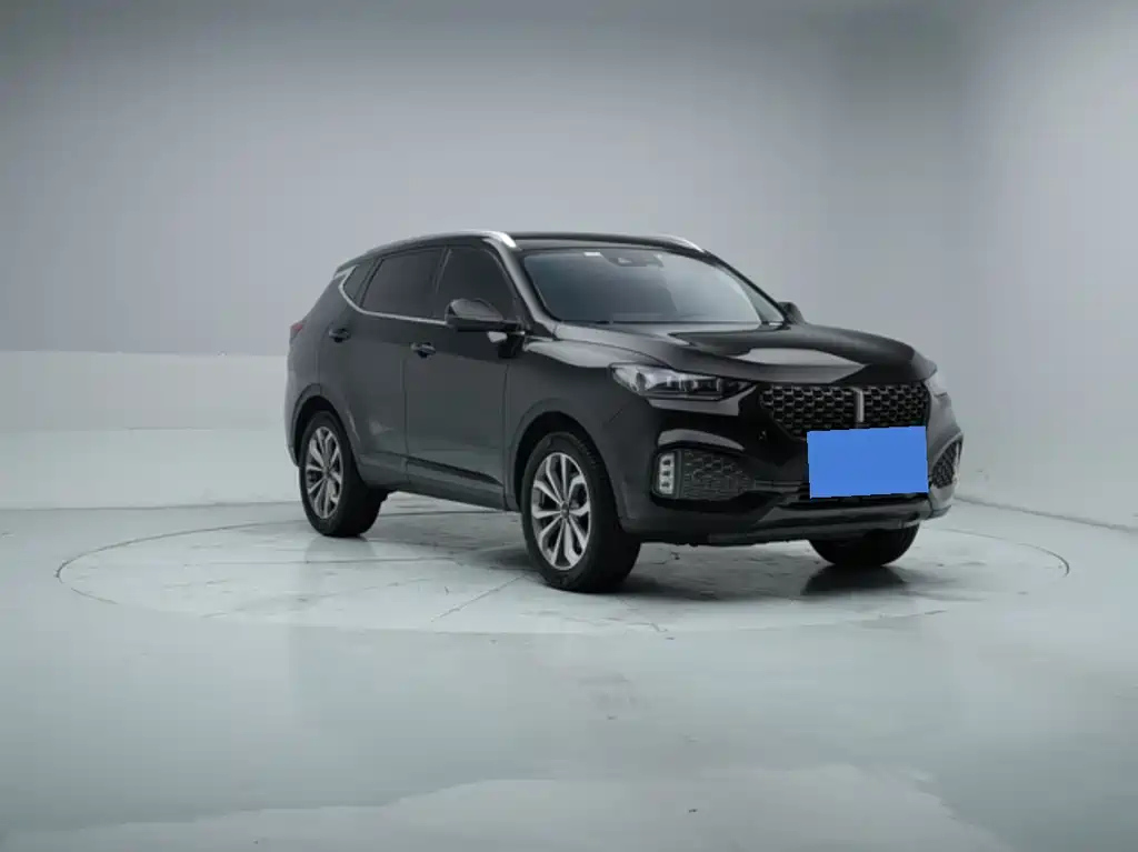 WEY VV6 2019