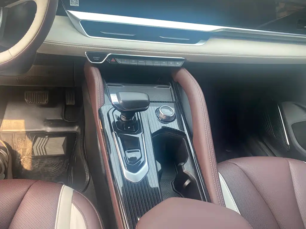 GEELY AUTO MONJARO 2020