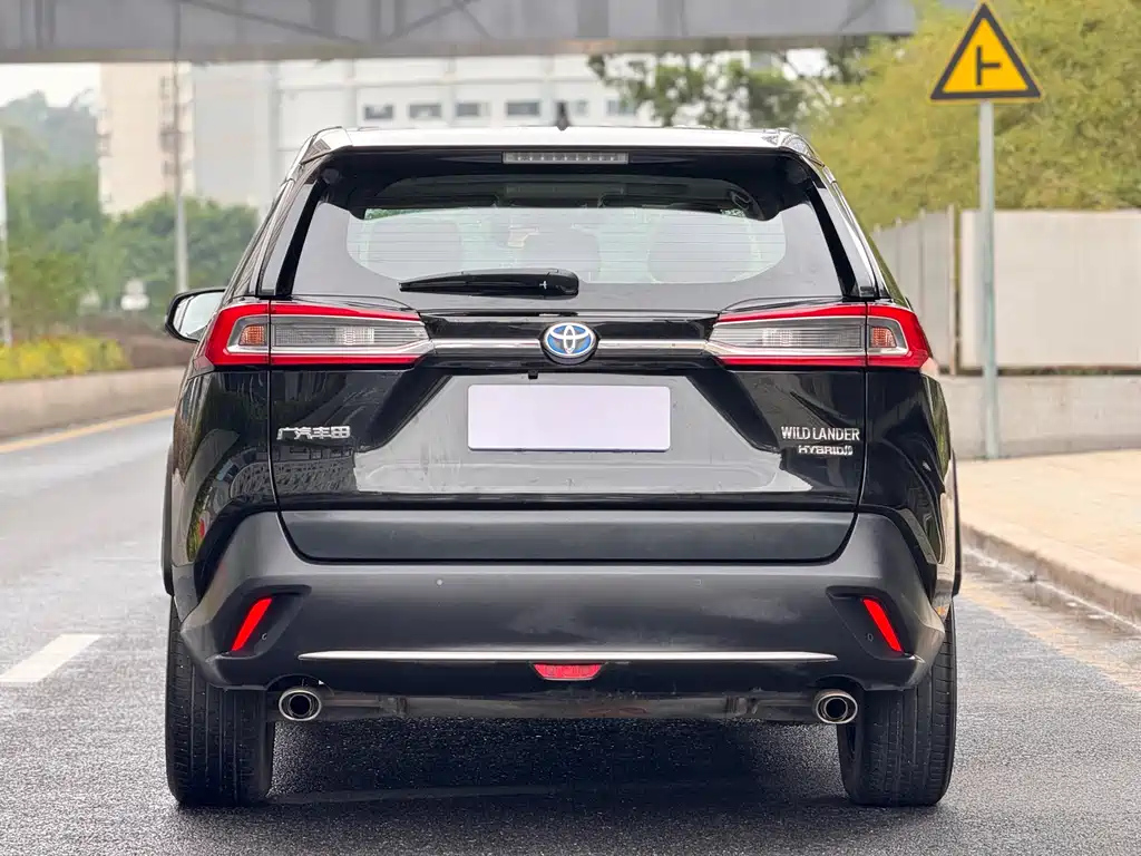 TOYOTA WILDLANDER 2021