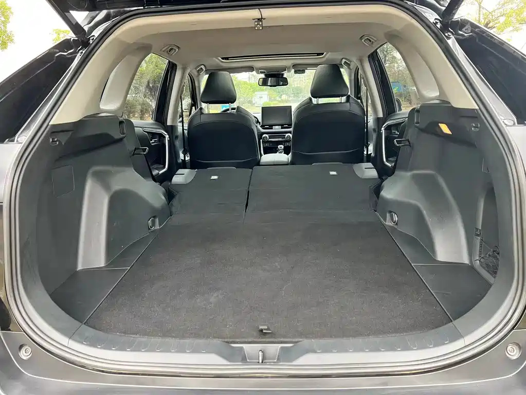 TOYOTA WILDLANDER 2020