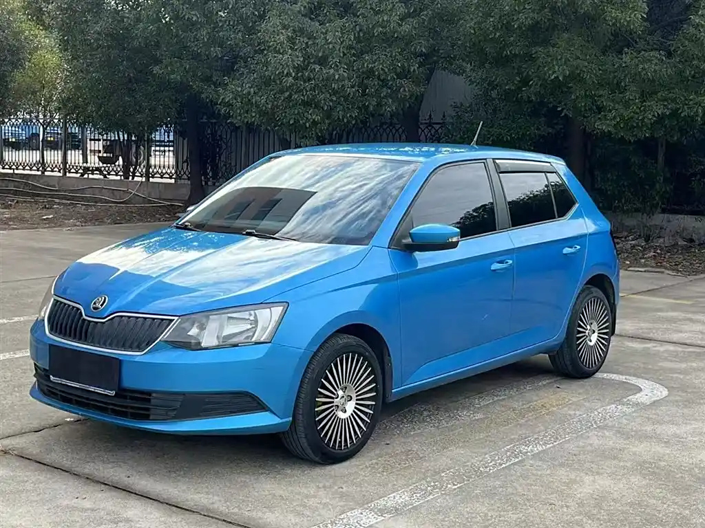 SKODA FASCIA 2015