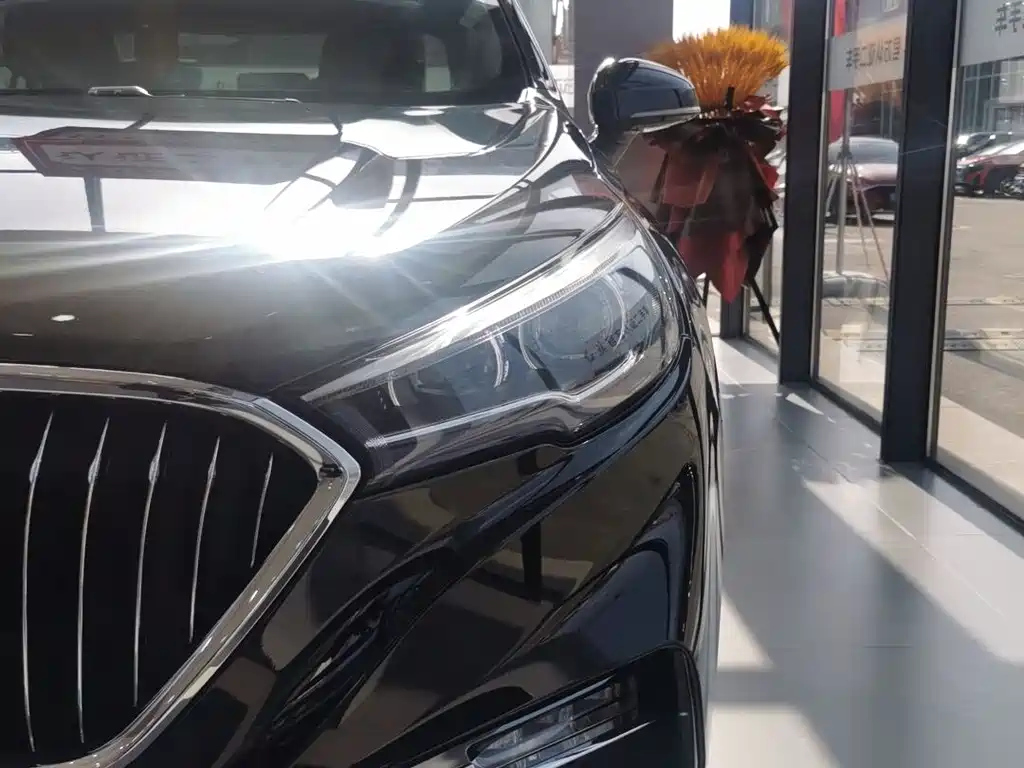 HONGQI H5 2023