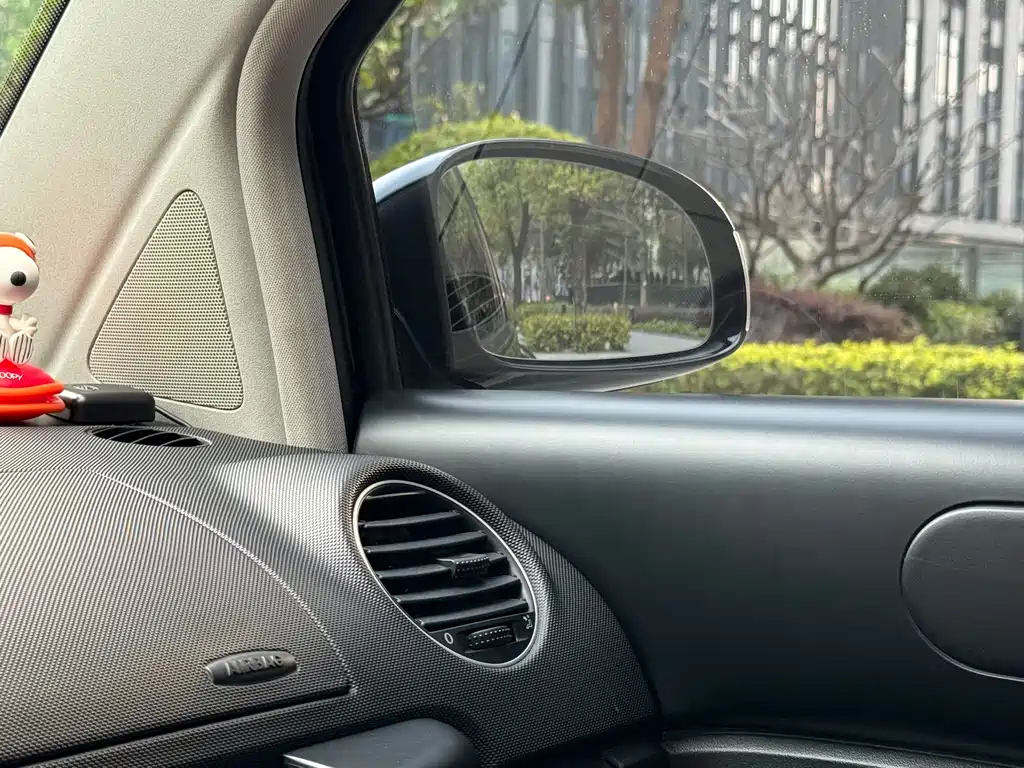 VOLKSWAGEN BEETLE 2009