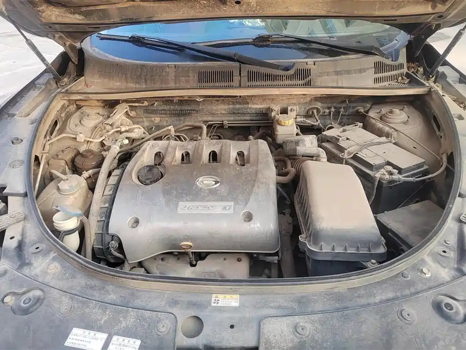 TRUMPCHI GS5 2013
