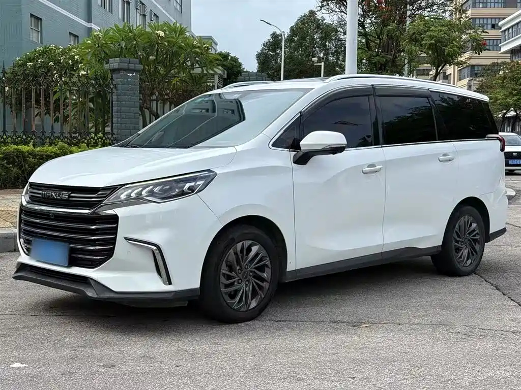 MAXUS OTHER 2019