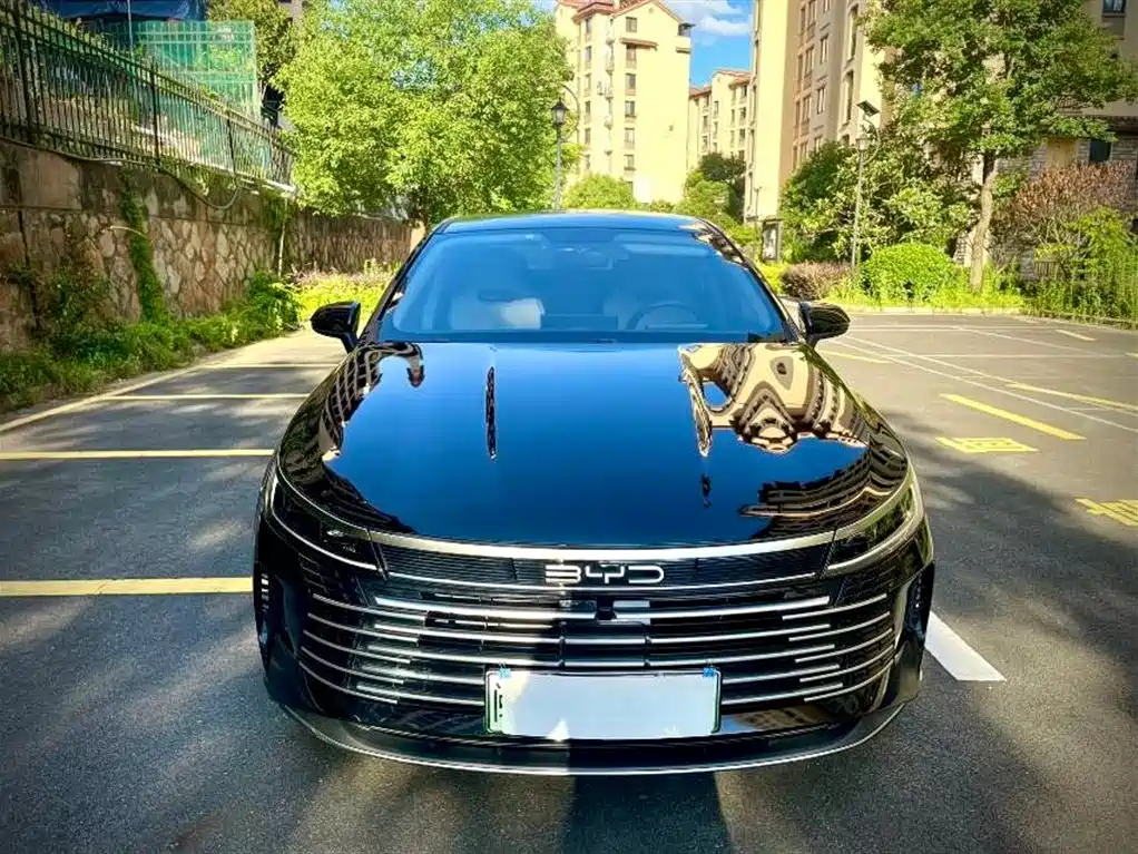 BYD DESTROYER 05 2024