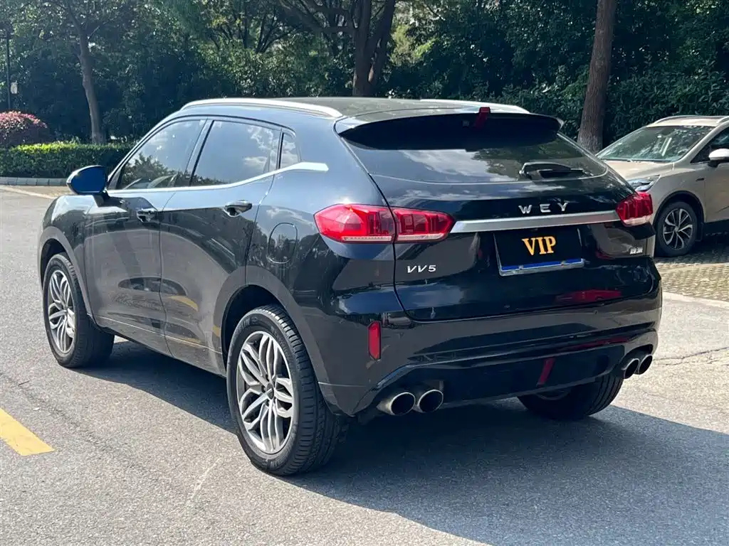 WEY VV5 2019