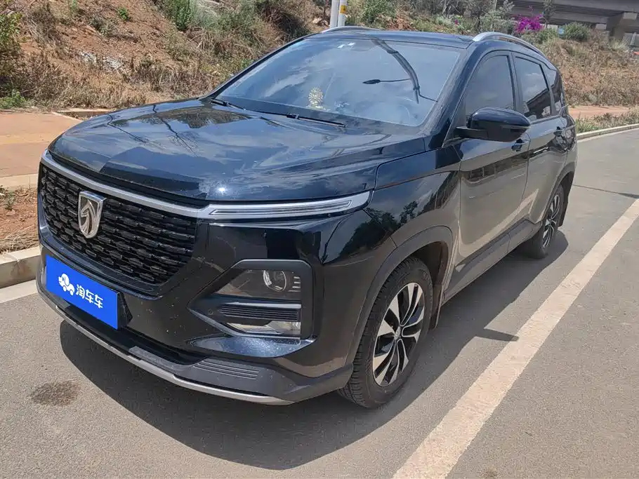 Аукционный лист BAO JUN 530 2020
