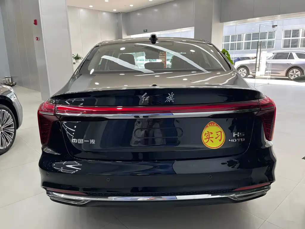 HONGQI H5 2024