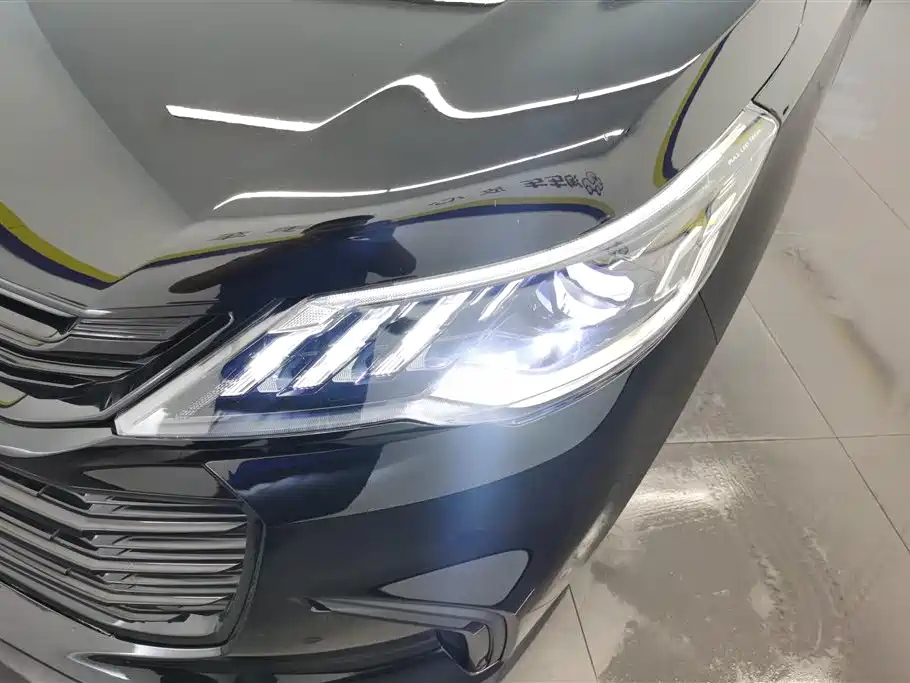 MAXUS OTHER 2020
