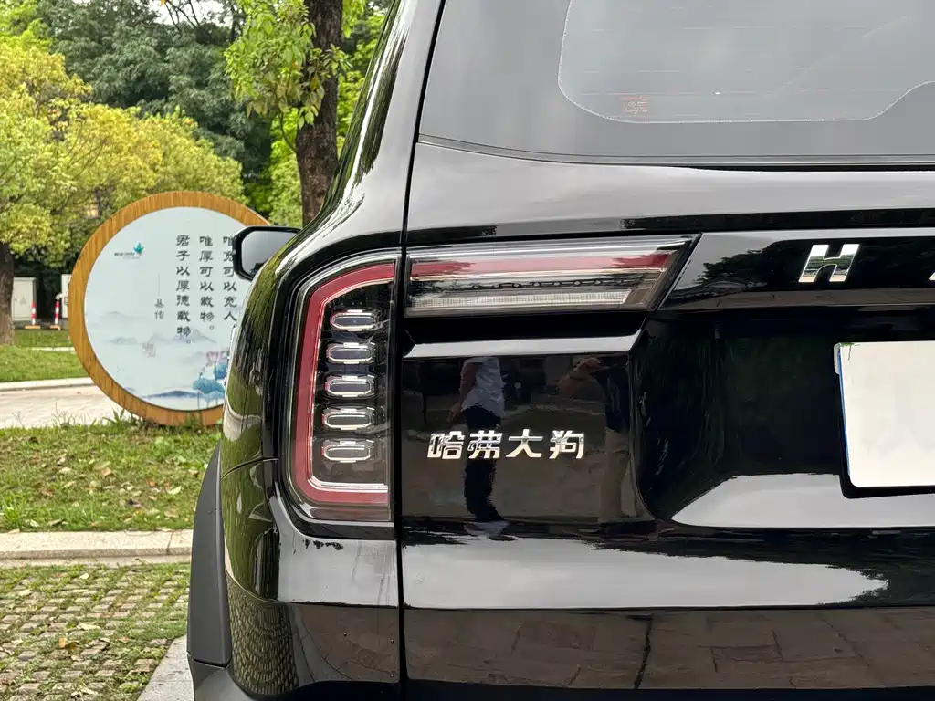 HAVAL DARGO 2021