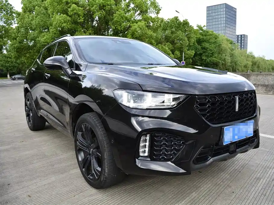 WEY VV5 2018