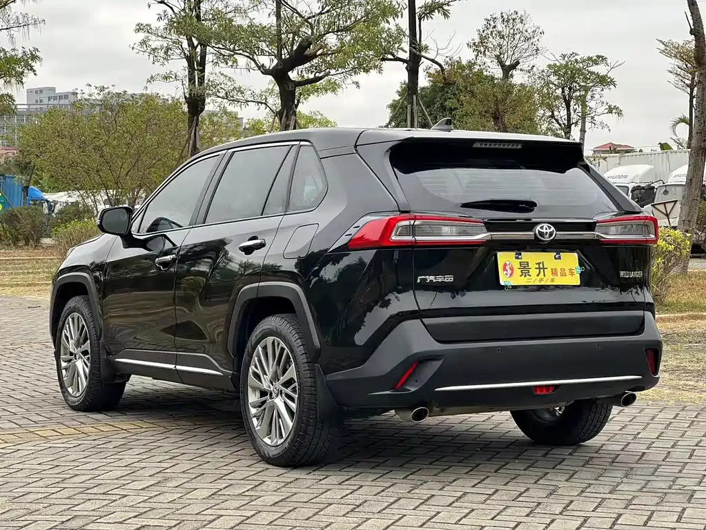 TOYOTA WILDLANDER 2020