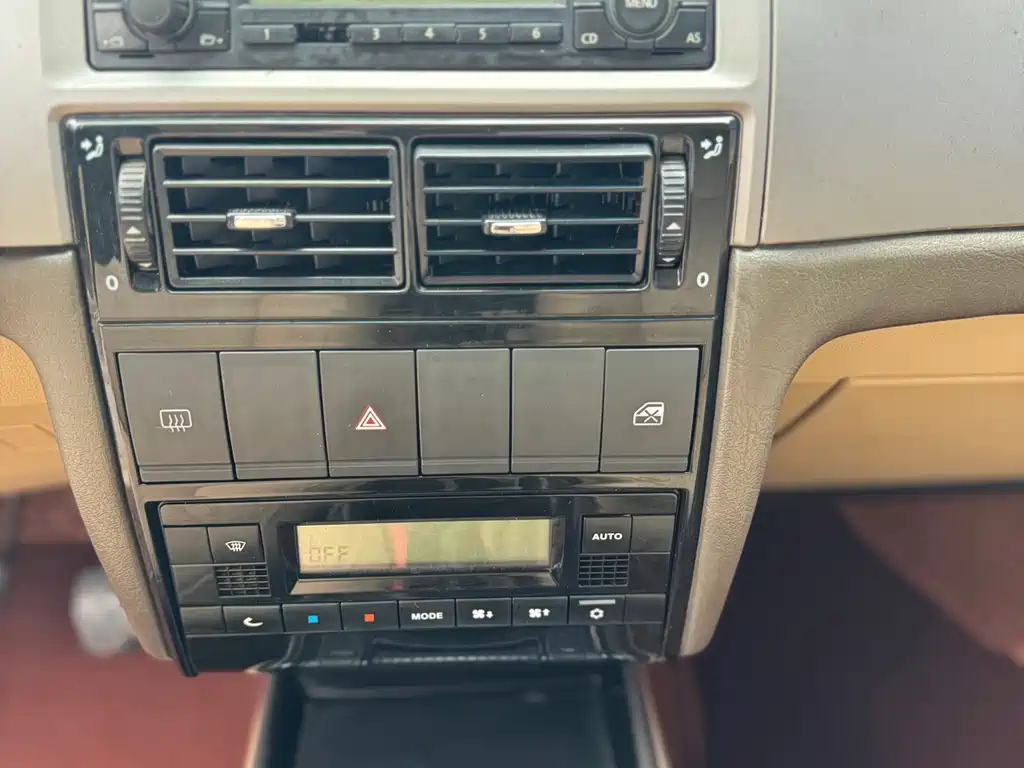 VOLKSWAGEN OTHER 2010