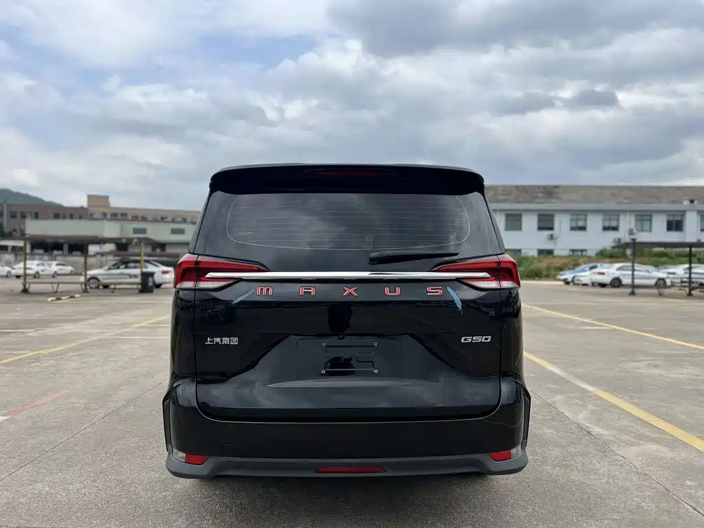 MAXUS OTHER 2019