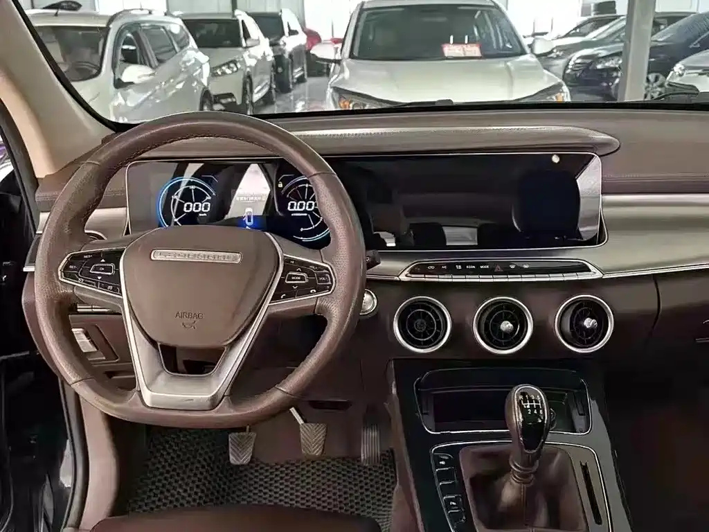 LEOPAARD MATTU 2019