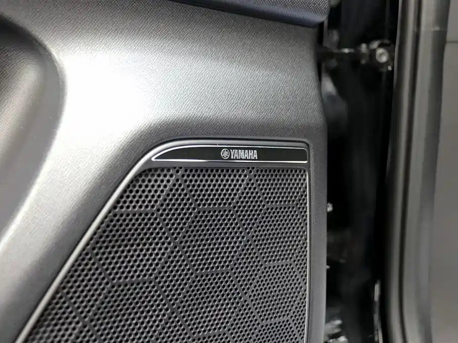 TRUMPCHI E9 2024