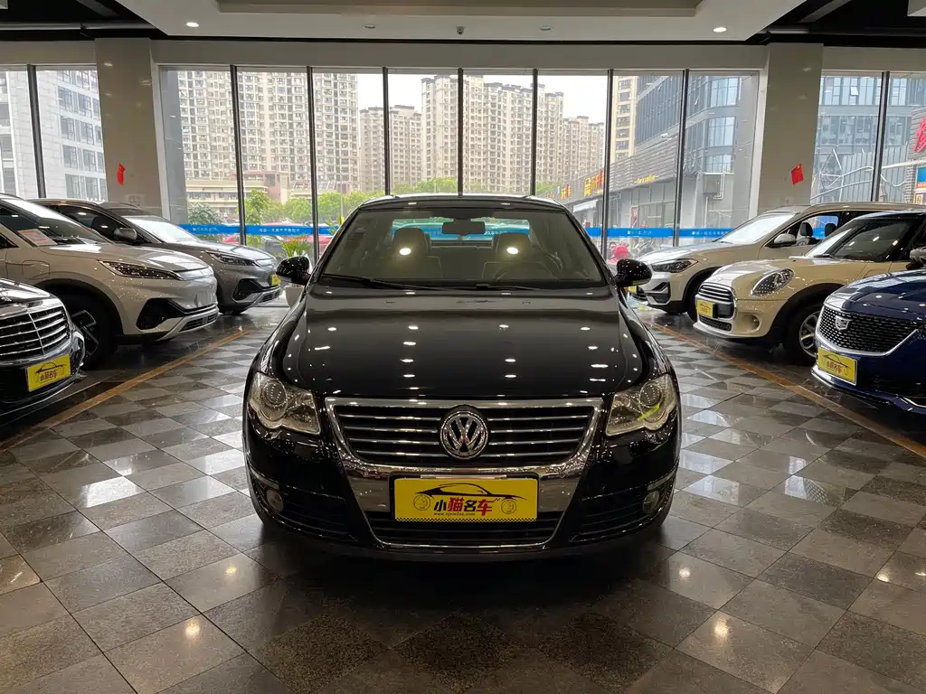 VOLKSWAGEN MAGOTAN 2010