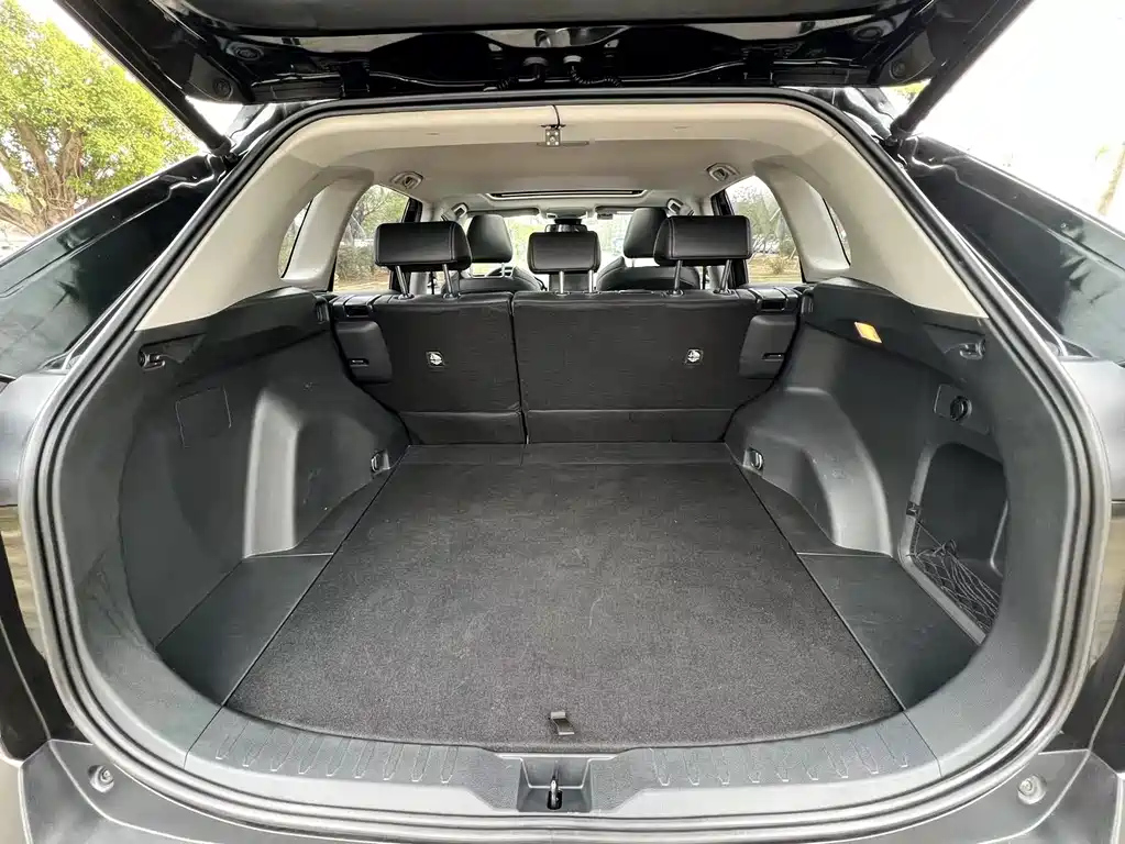 TOYOTA WILDLANDER 2020