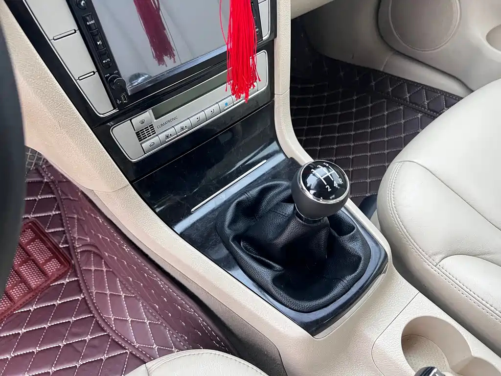 VOLKSWAGEN OTHER 2010