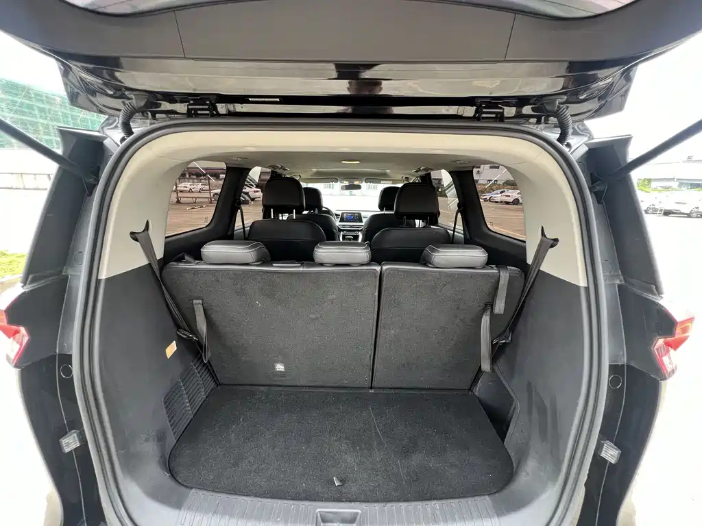 MAXUS OTHER 2019