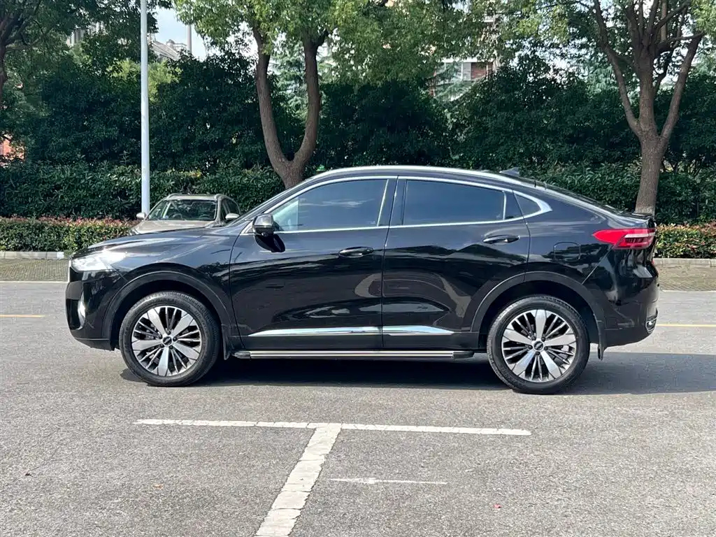 HAVAL F7X 2021
