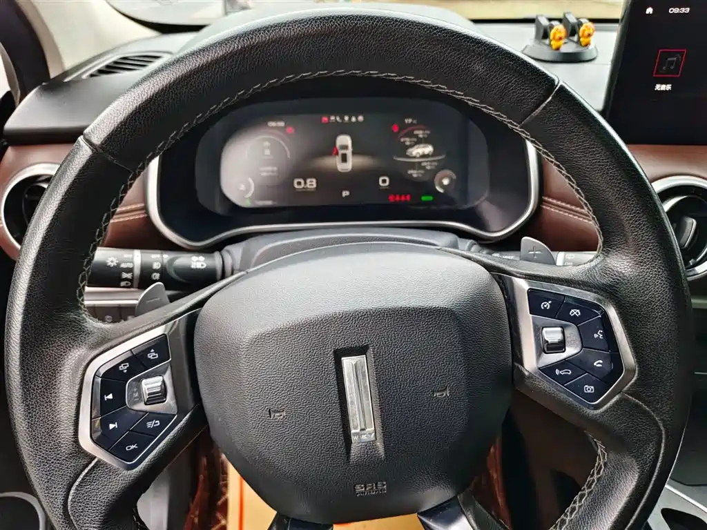 WEY VV6 2020
