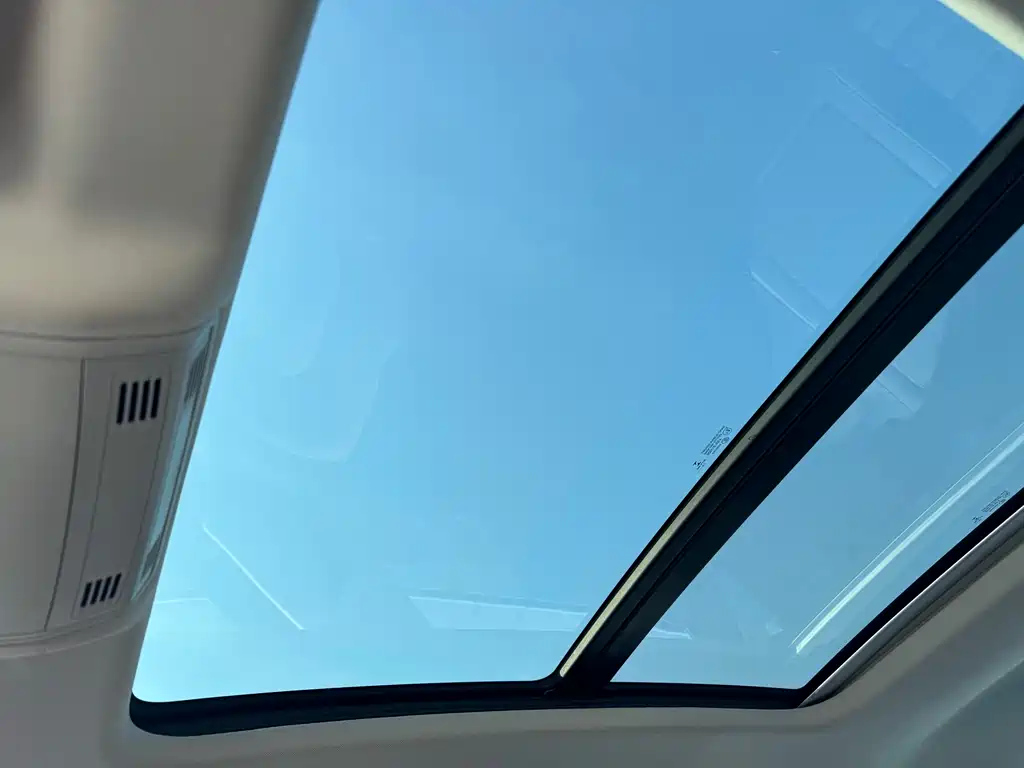 VOLKSWAGEN SAGITAR 2020