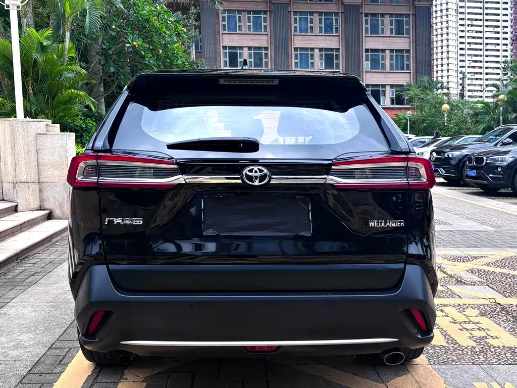 TOYOTA WILDLANDER 2021