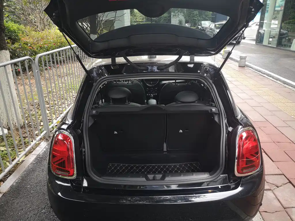 MINI OTHER 2021