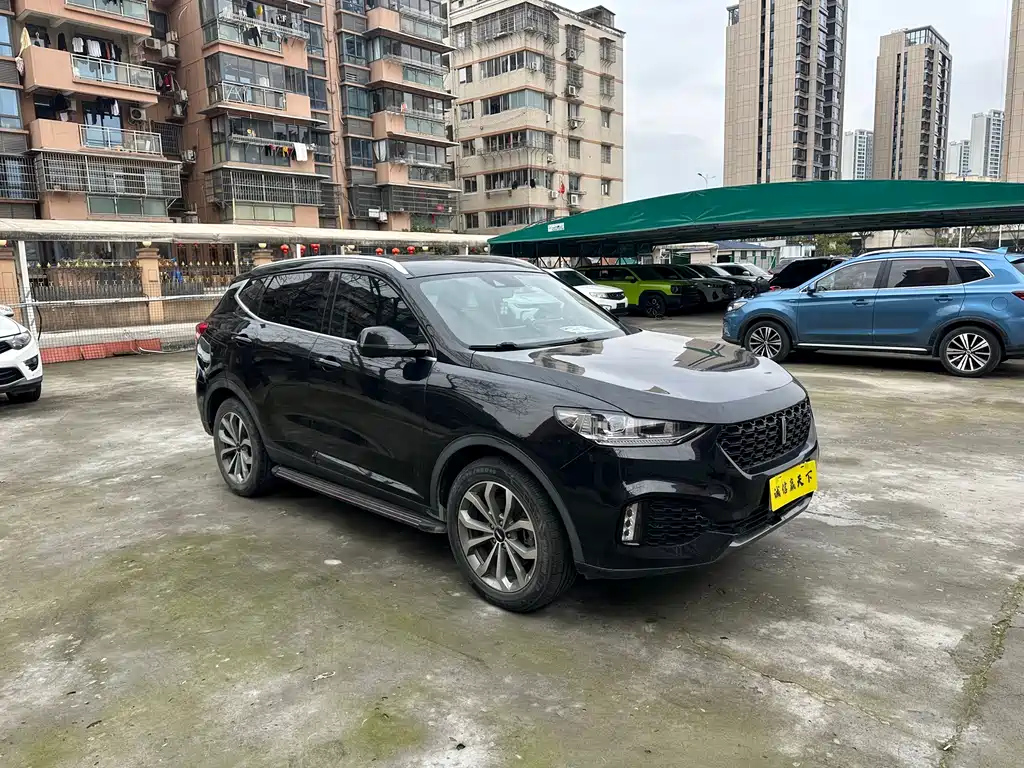WEY VV6 2019