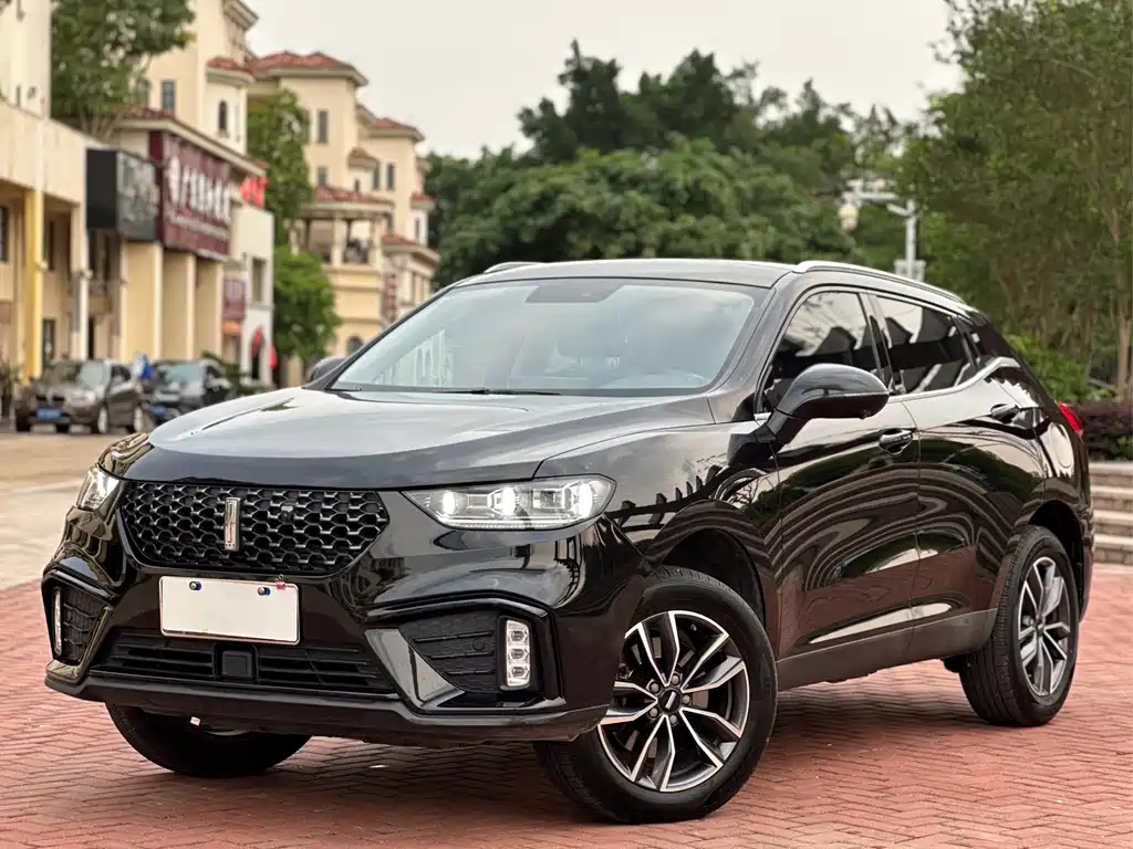 Аукционный лист WEY VV5 2020
