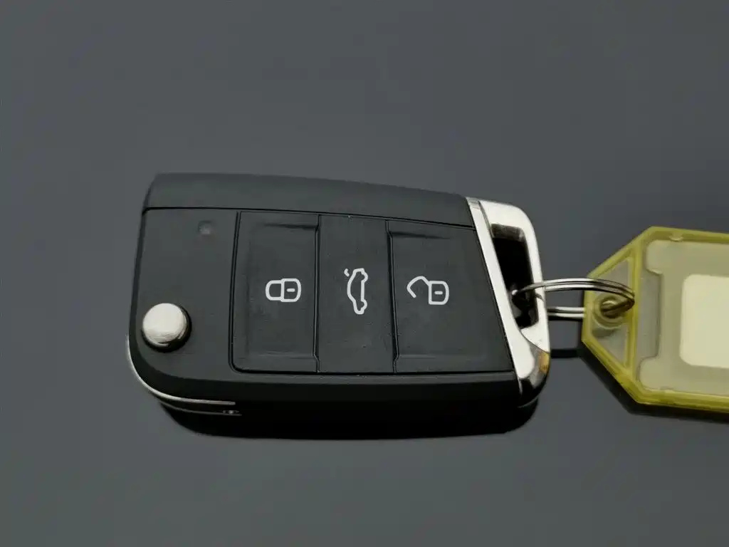 VOLKSWAGEN LAVIDA 2022