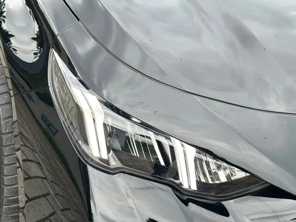 TRUMPCHI EMPOW 2023
