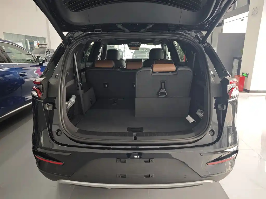 BYD TANG NEW ENERGY 2024