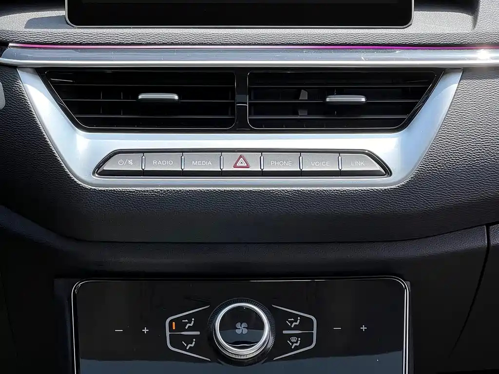 HONGQI H5 2021