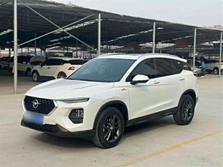 Заказать HAMA 8S