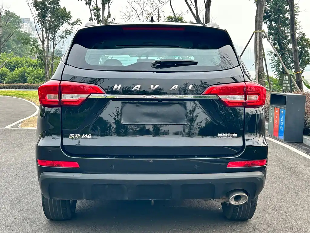 HAVAL M6 2019