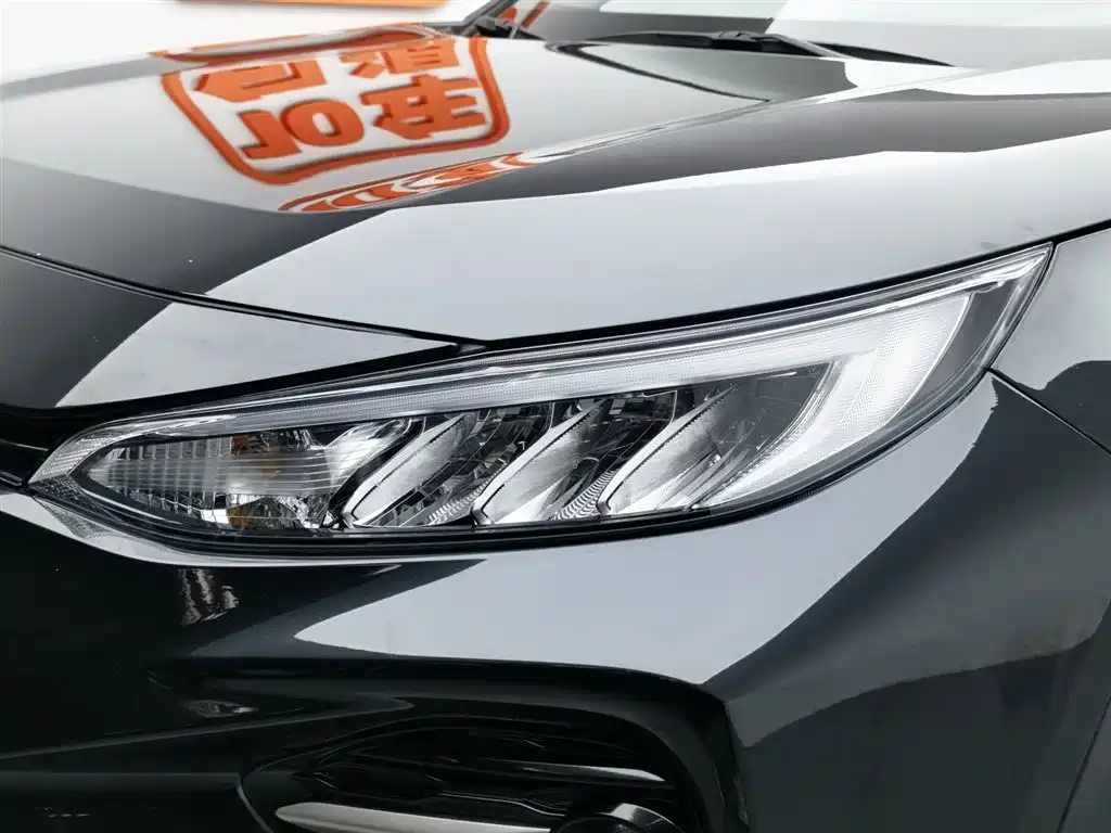 TOYOTA WILDLANDER 2021