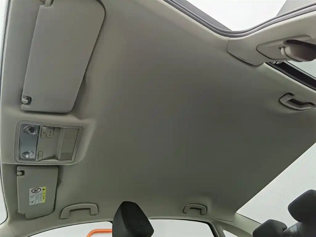 VOLKSWAGEN LAVIDA 2019