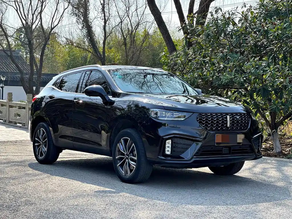 WEY VV5 2019