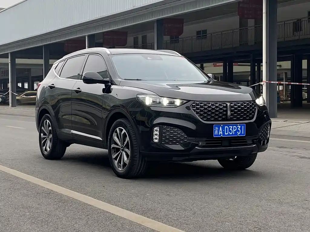 WEY VV6 2020