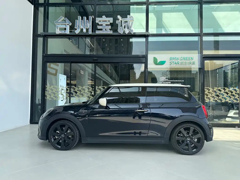 MINI OTHER 2023