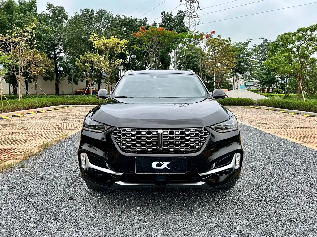 WEY VV6 2020