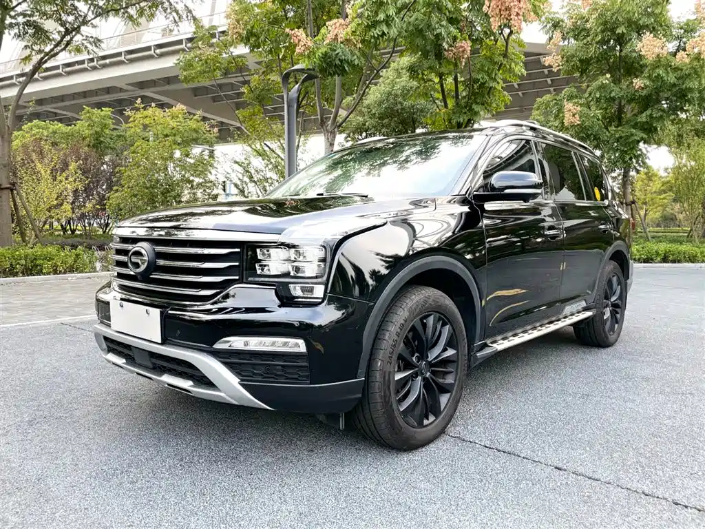 Аукционный лист TRUMPCHI GS8 2017