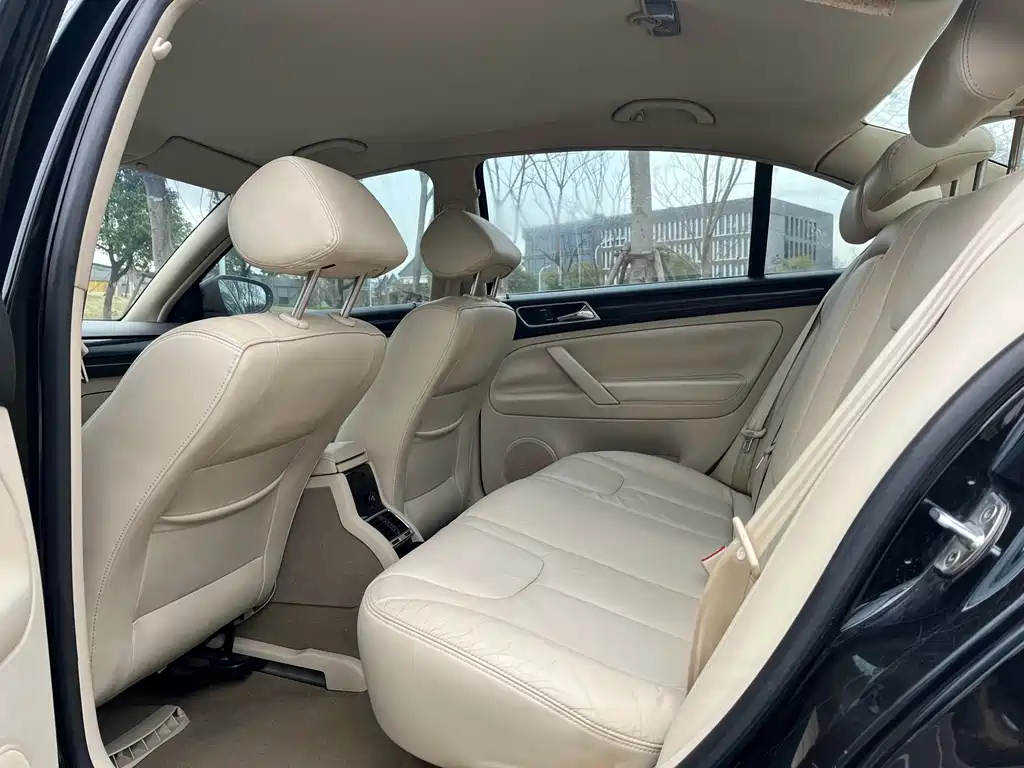 VOLKSWAGEN OTHER 2010